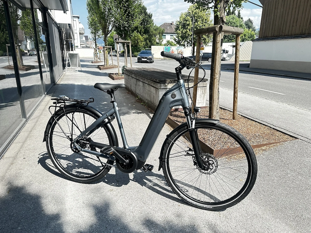 Velo de Ville AEB 890 Pure E-Bike NEU!
