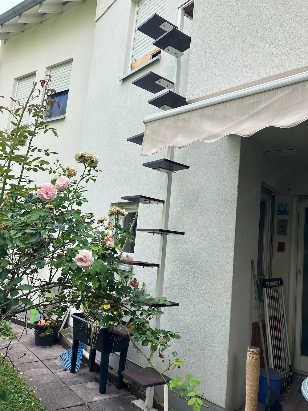 Katzenleiter zu verkaufen