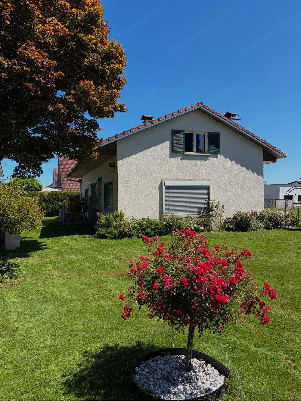 Bungalow zu vermieten