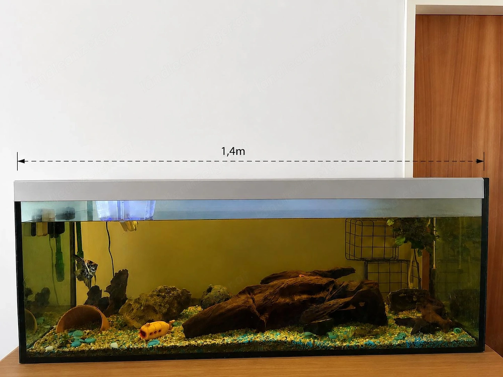 420 Liter Aquarium 