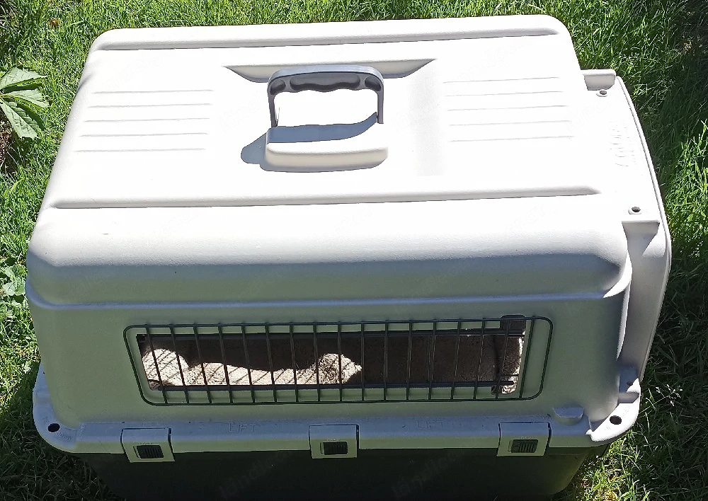 Hundebox mit Decke