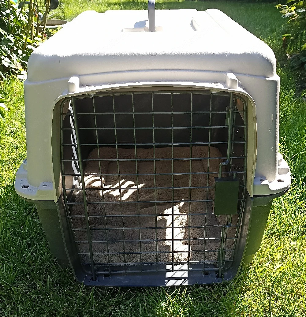 Hundebox mit Decke