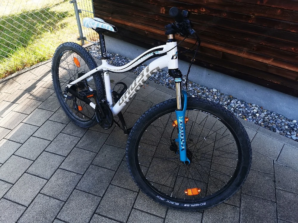 GIANT Damen Mountainbike 