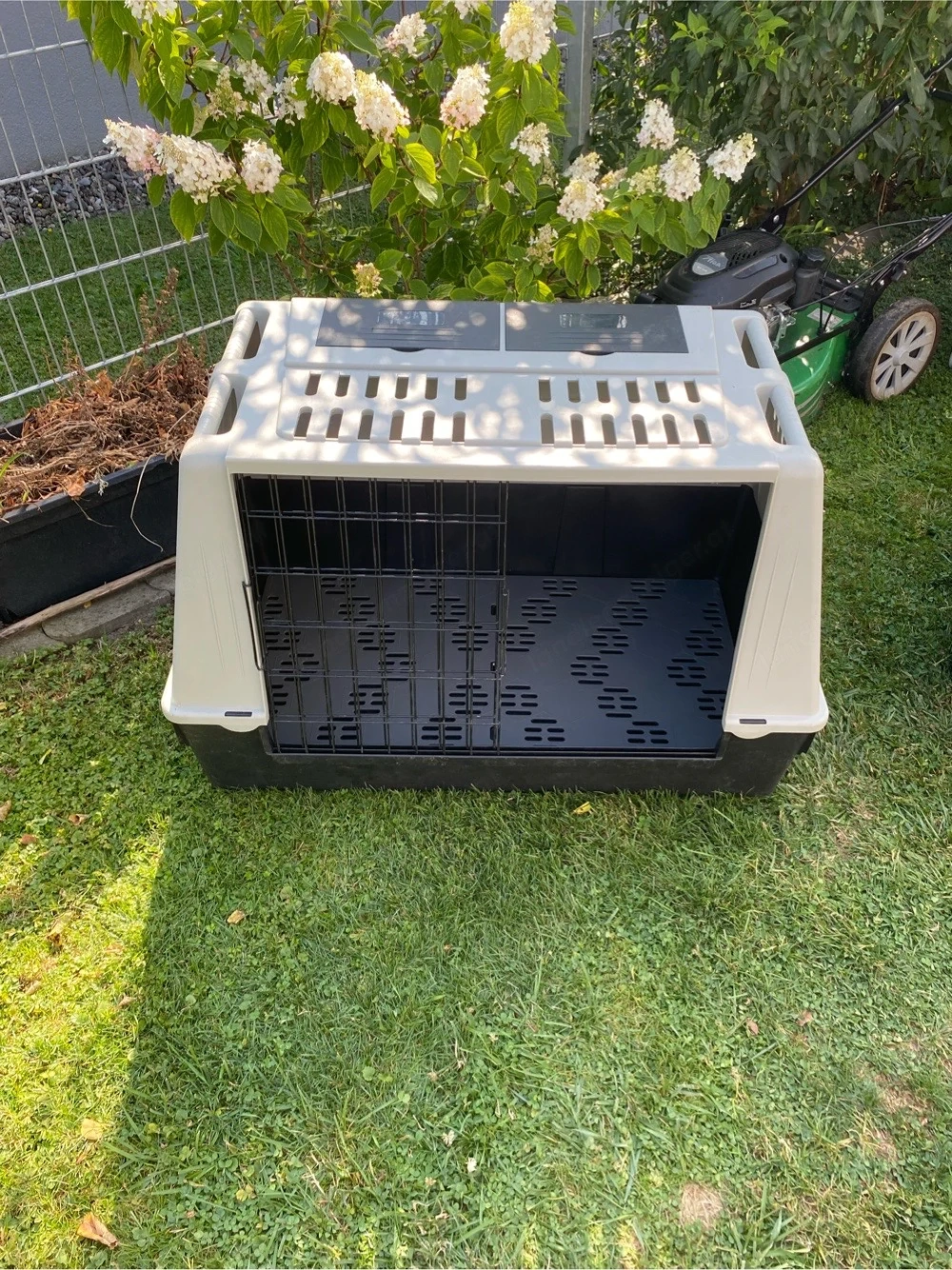 Hunde Transportbox