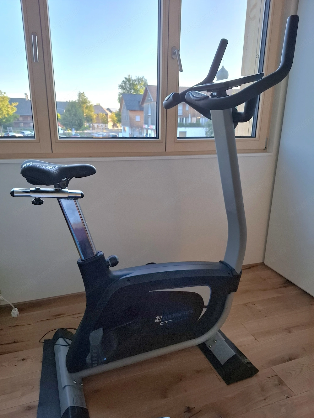 Energetics Ergometer CT920