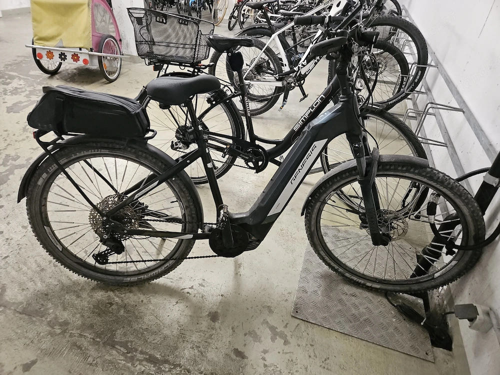 E-Bike Trekking Genesis e xtouring 4.1 Tiefeinstieg