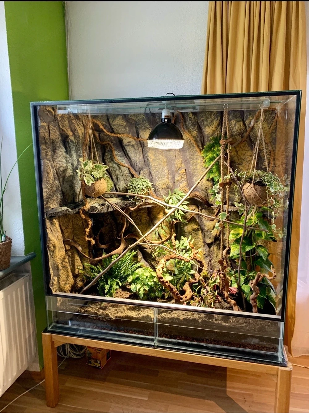Terrarium 120x60x120cm zu verschenken