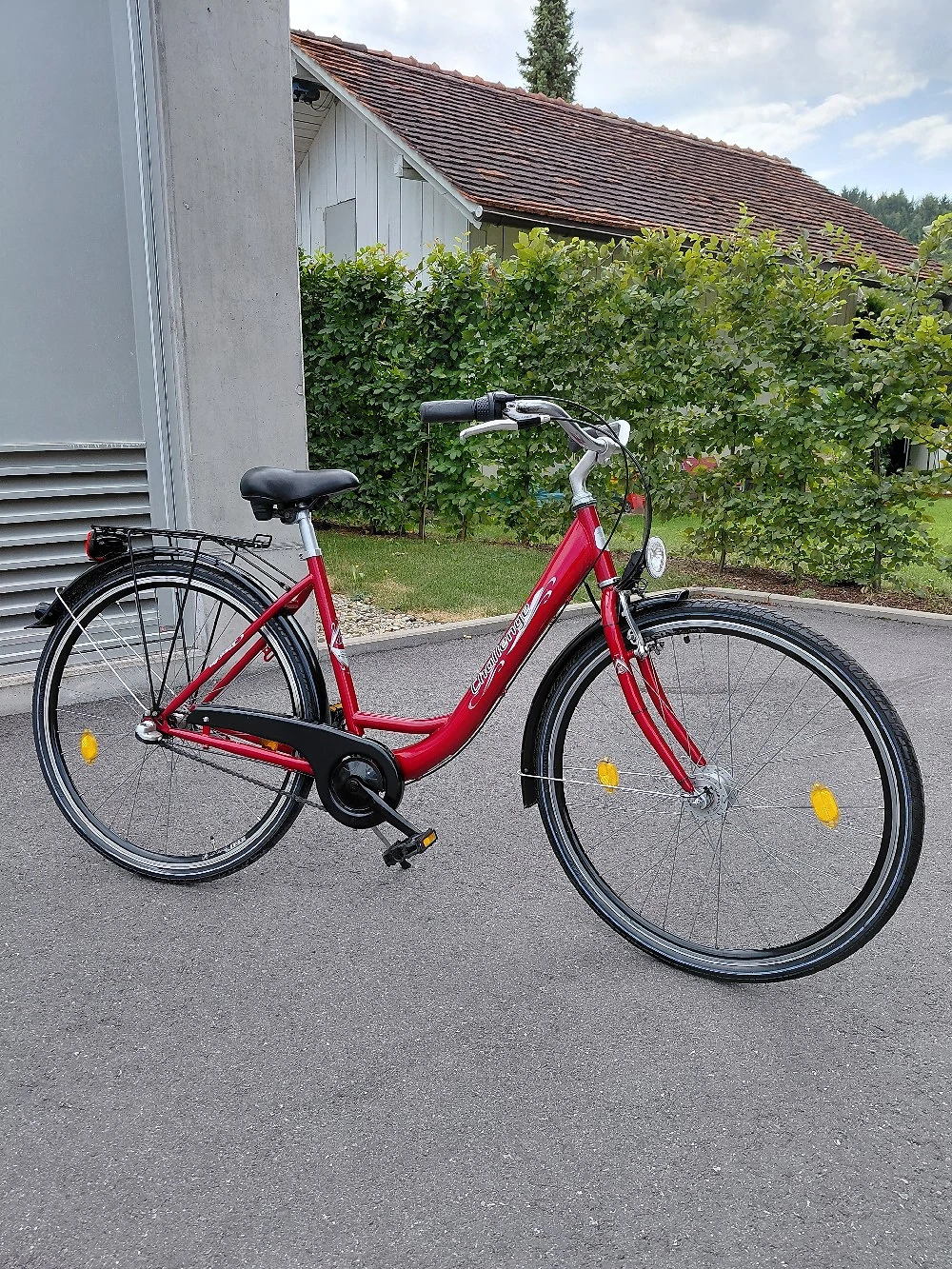 Damen Fahrrad 