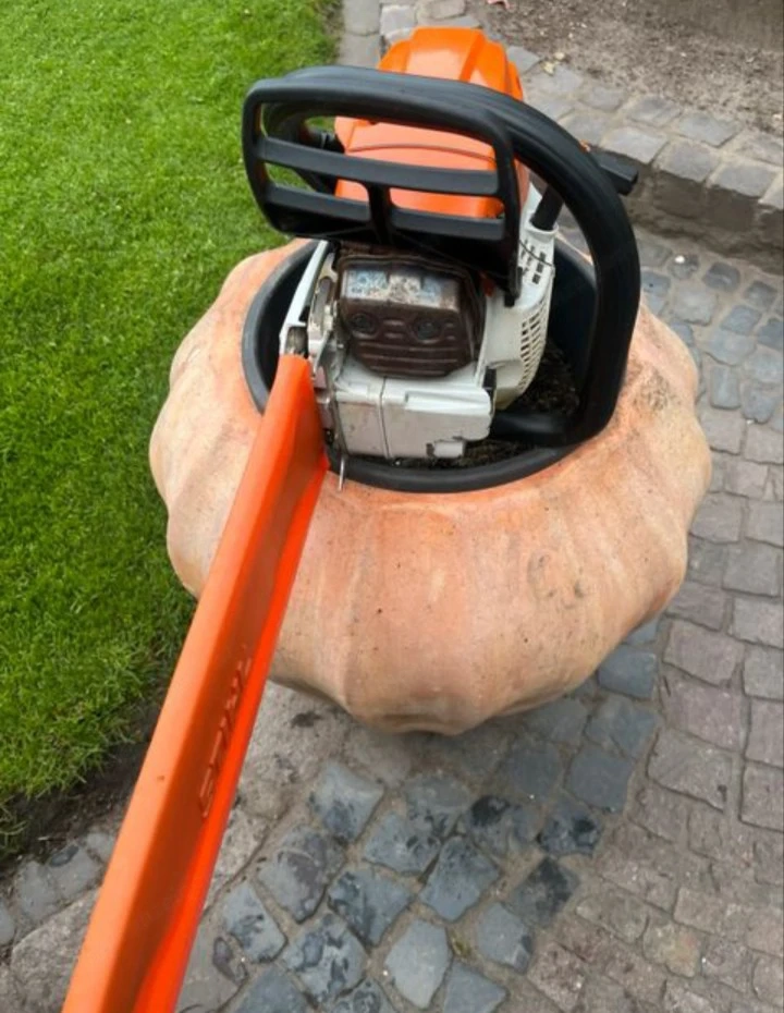 Stihl MS 261 C M Kettensäge mit 40 cm Schwert an
