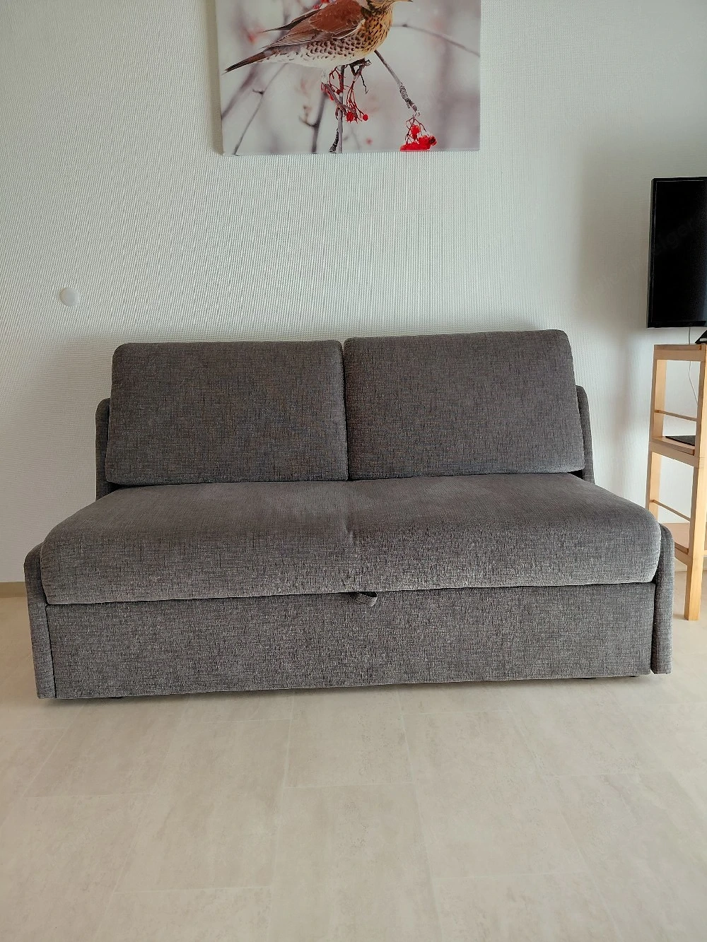 Ausziehbare Couch 