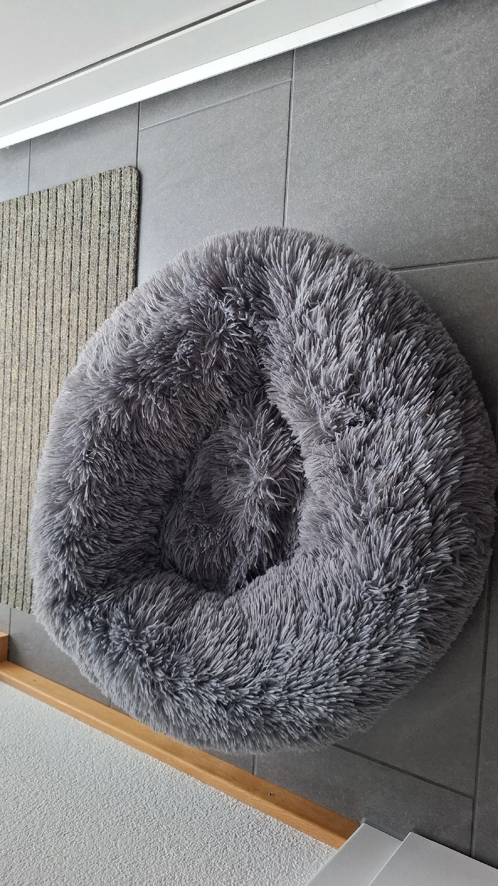 Kostenlos Katzenbett