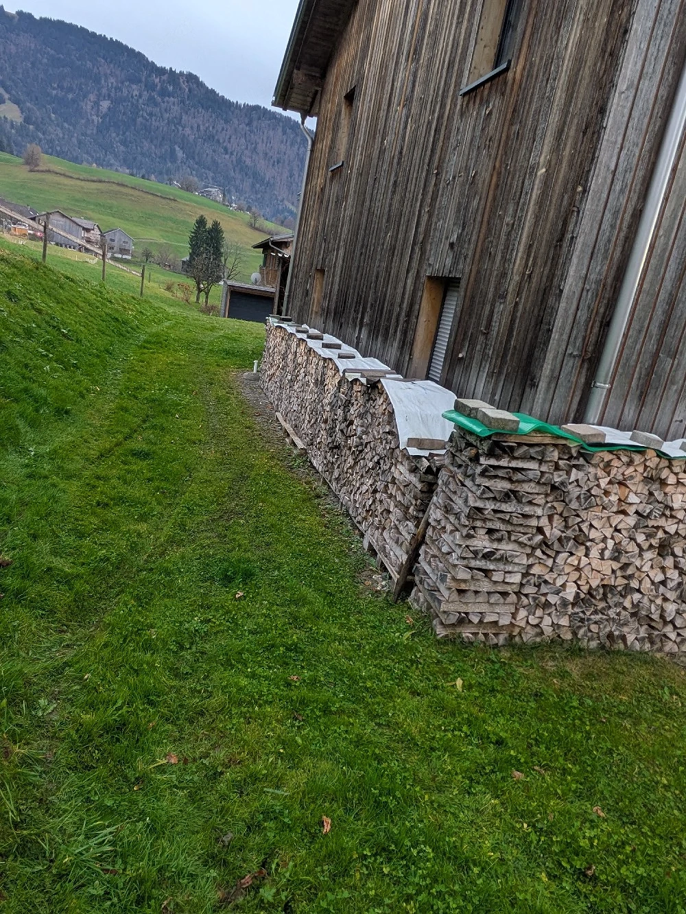 ofenholz trocken