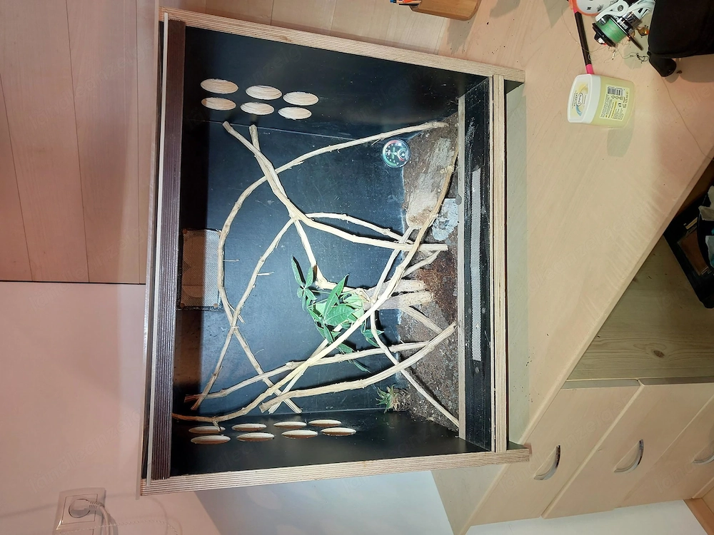 Terrarium zu verkaufen 