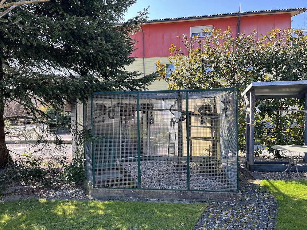 Voliere - Vogelkäfig