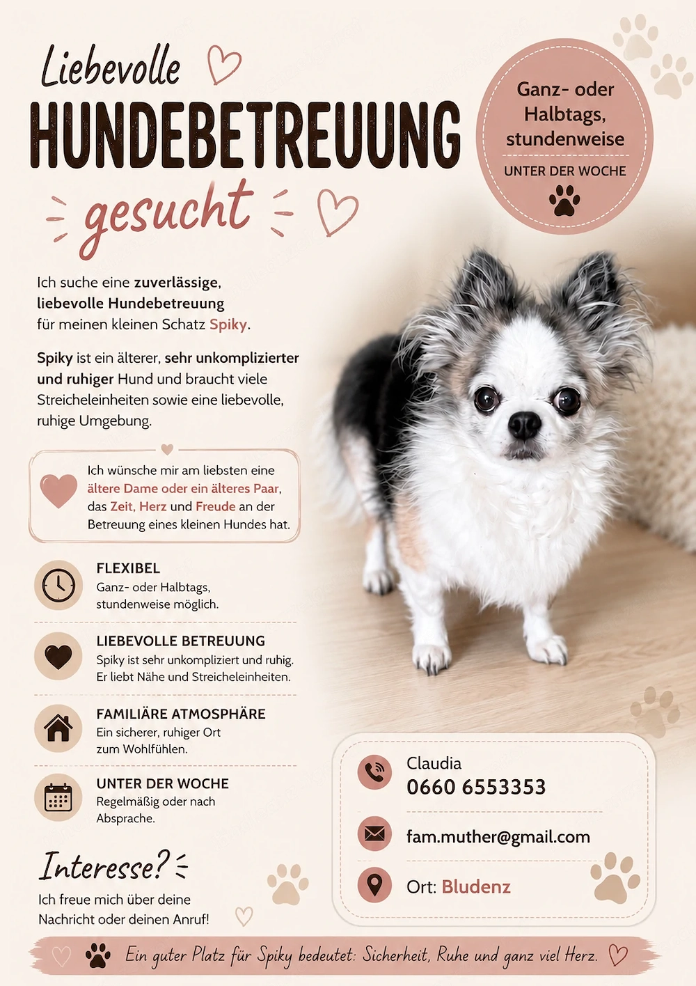 Liebe Person für eine Hundebetreuung im Raum Bludenz gesucht