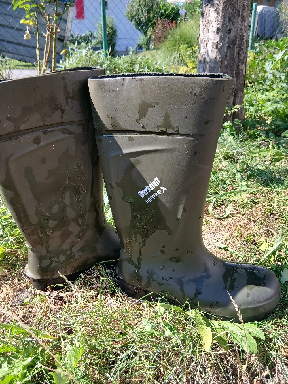 Stiefel mit Zehenverstärkung