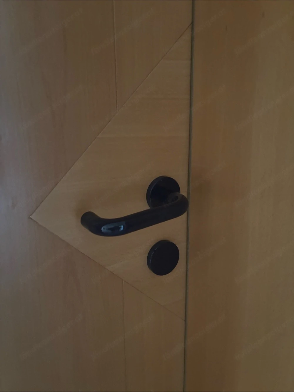 Wohnungstüren samt Zargen
