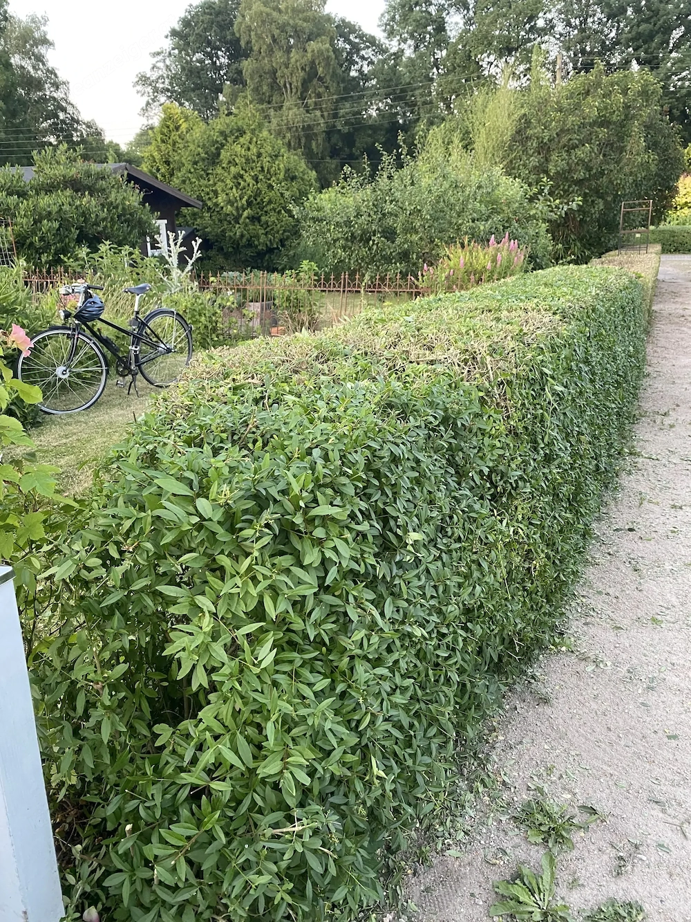 Gartenarbeit mit 15 Jahren Erfahrung