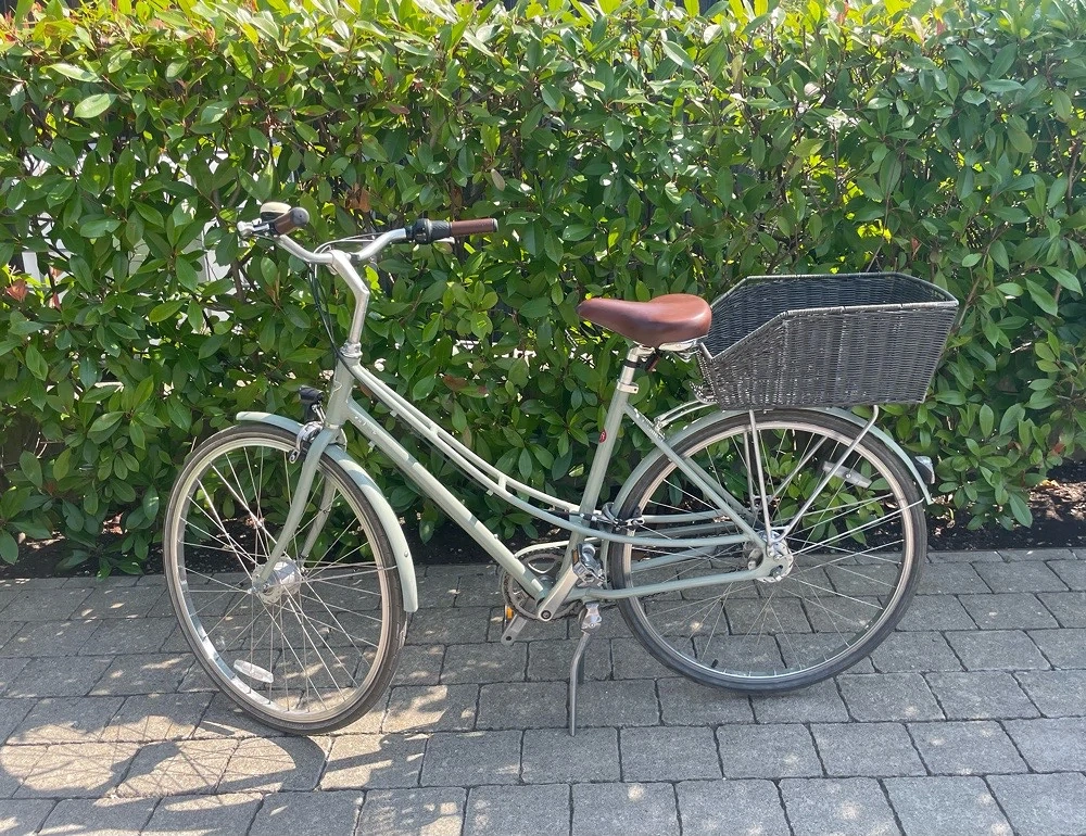 Damenfahrrad electra mit sieben Gängen 
