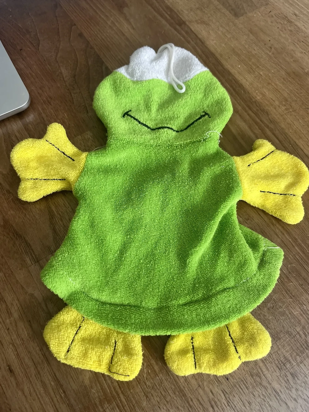 Kinder Waschlappen Frosch bunt mit Aufhängung