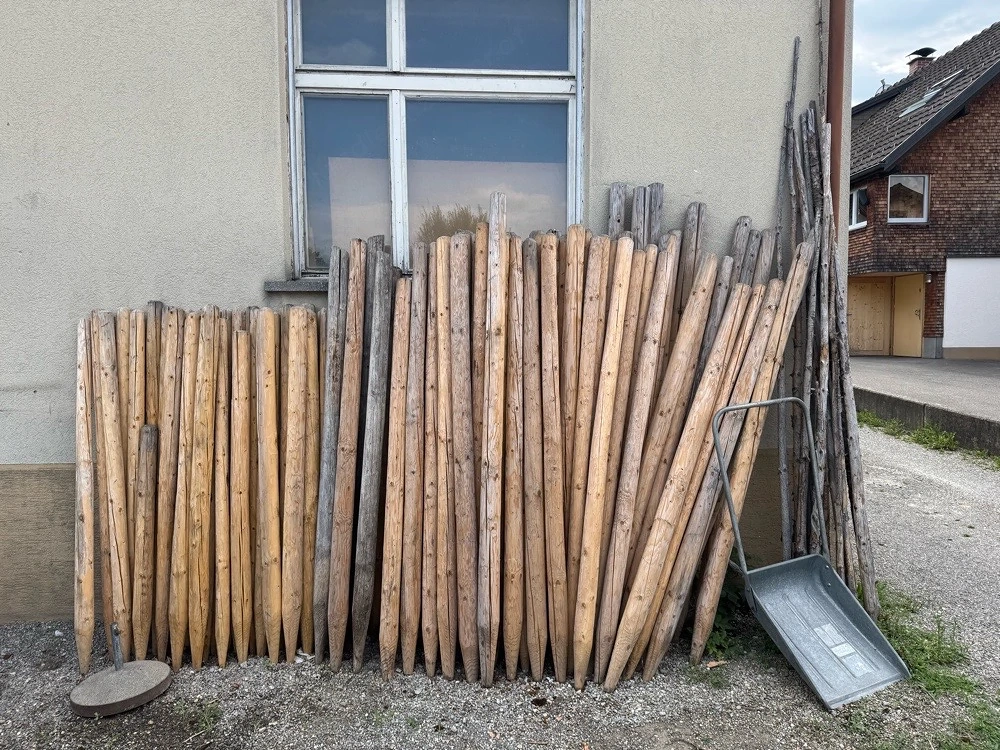 Holzpfähle   Zaunpfähle   Pfähle   Bohnenstangen