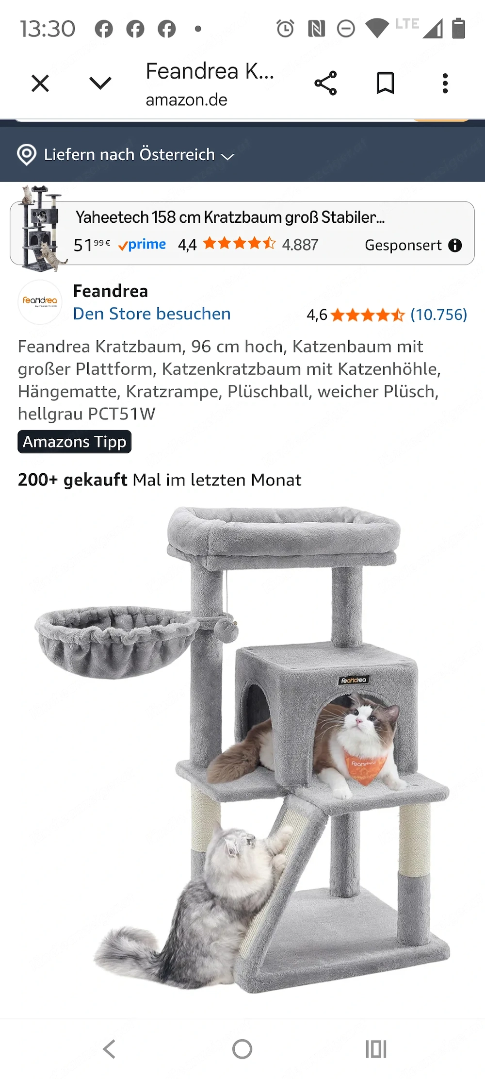 Katzen  Kratzbaum 