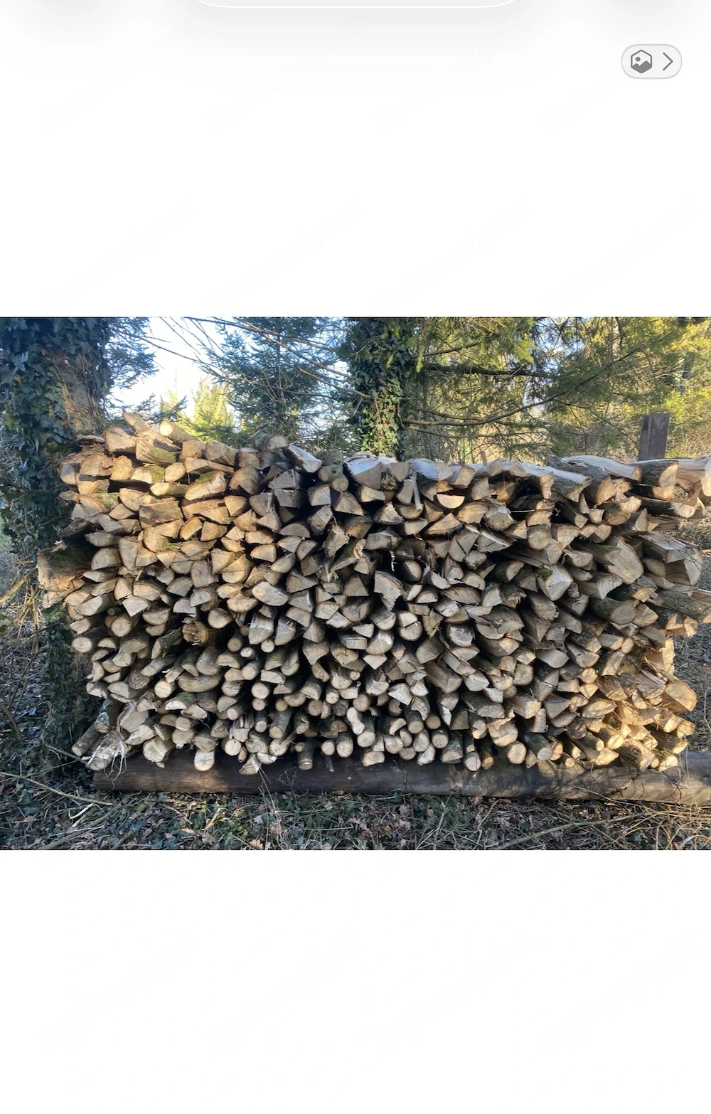 Brennholz Hart oder Weich  