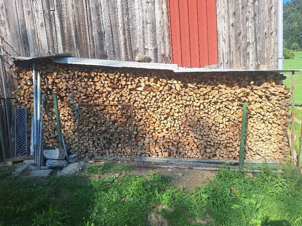 Brennholz Hart 50 cm