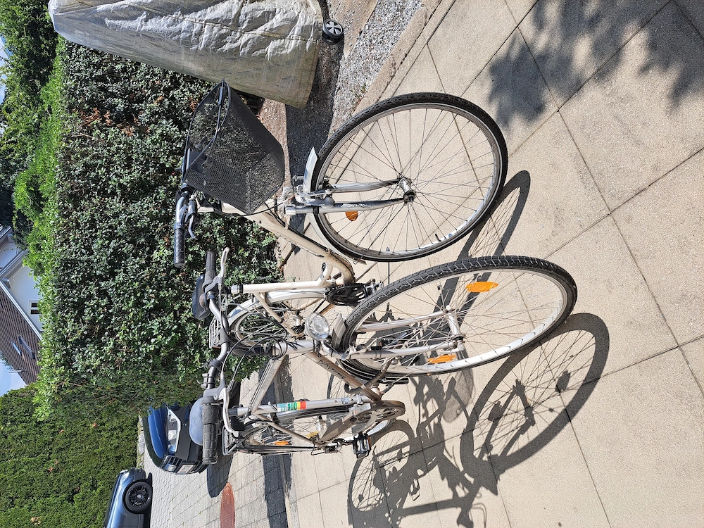 Herren und Damenfahrrad