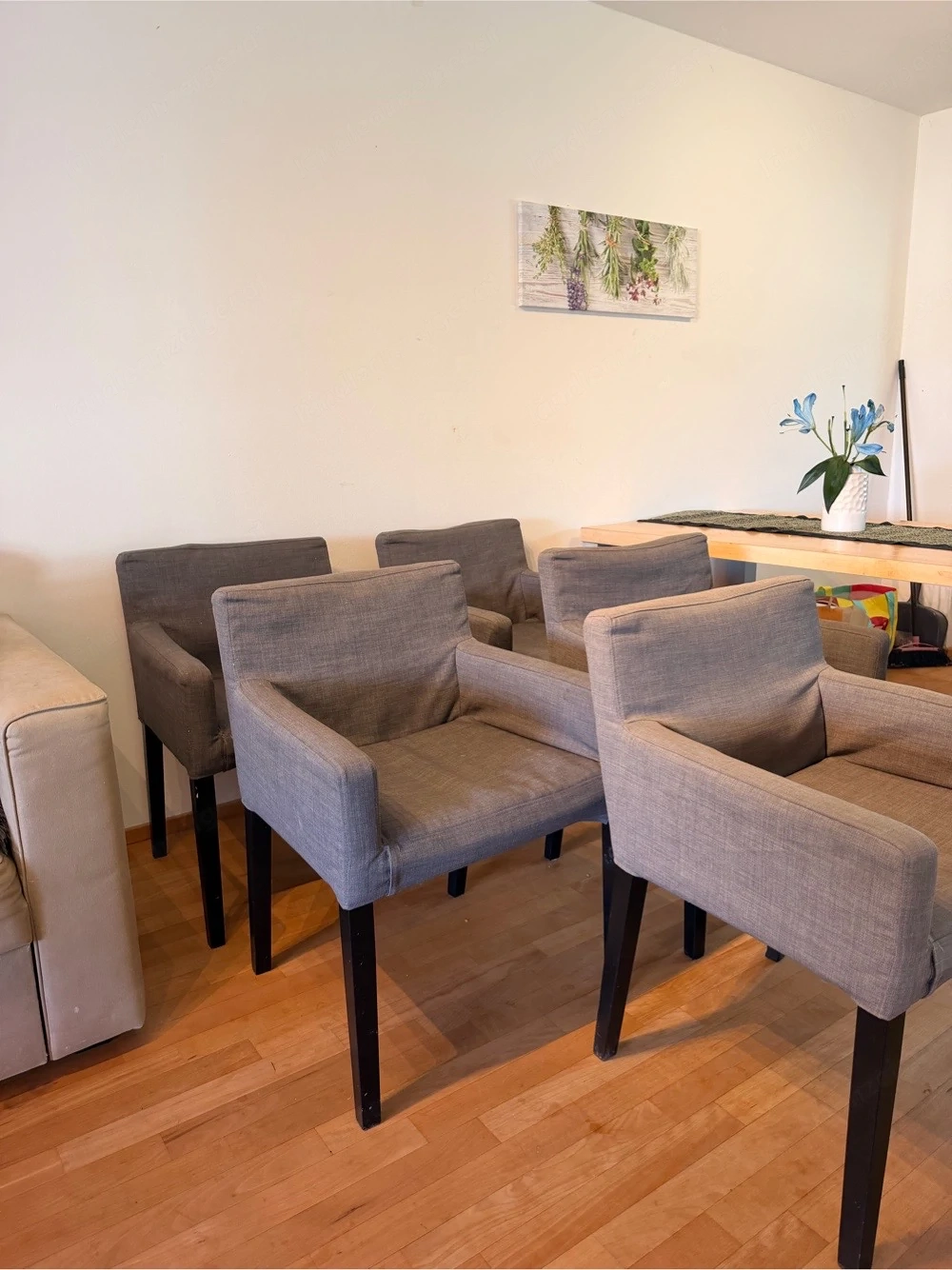 5 Ikea Stühle zu verkaufen