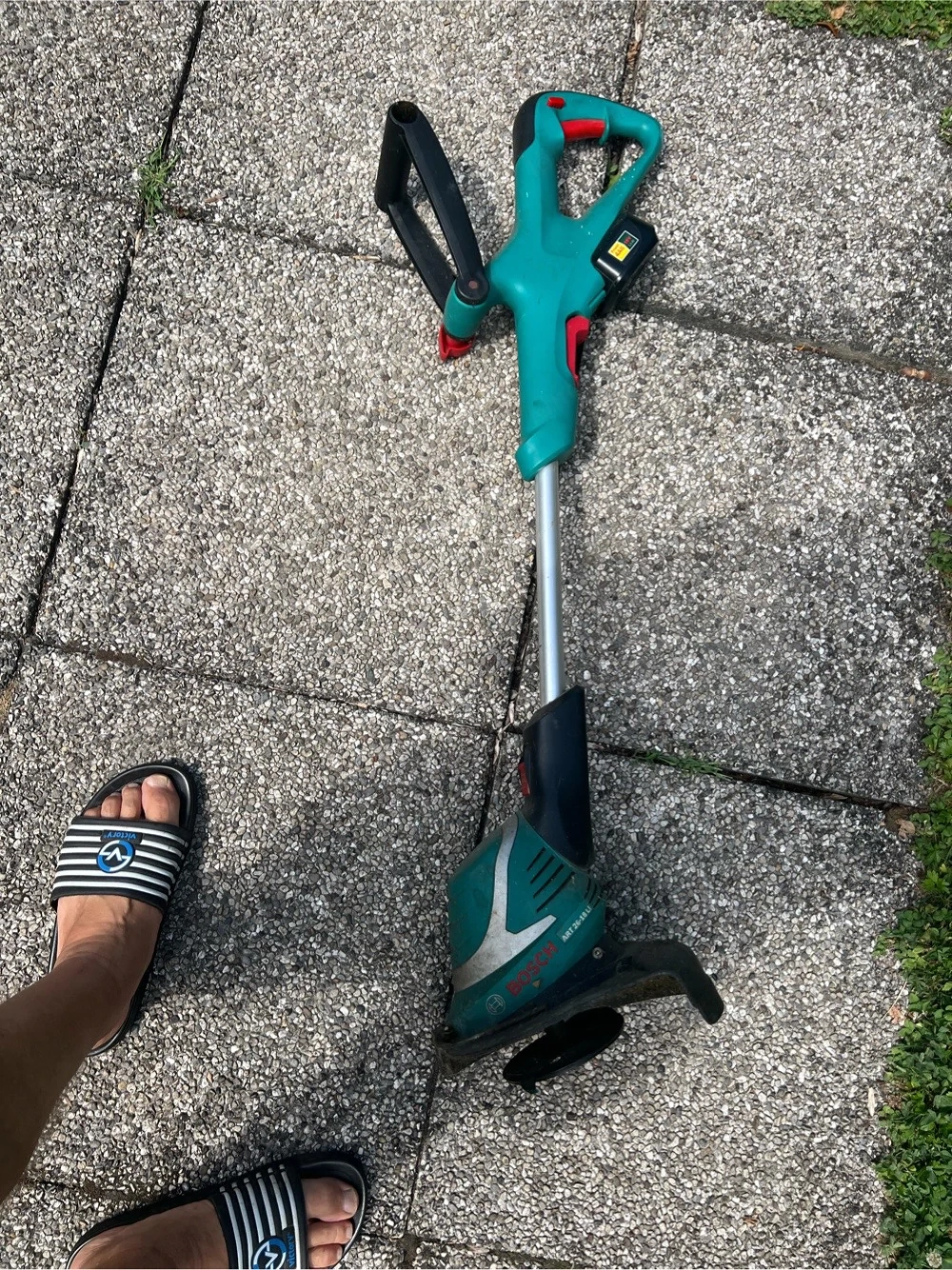 Rasen Trimmer