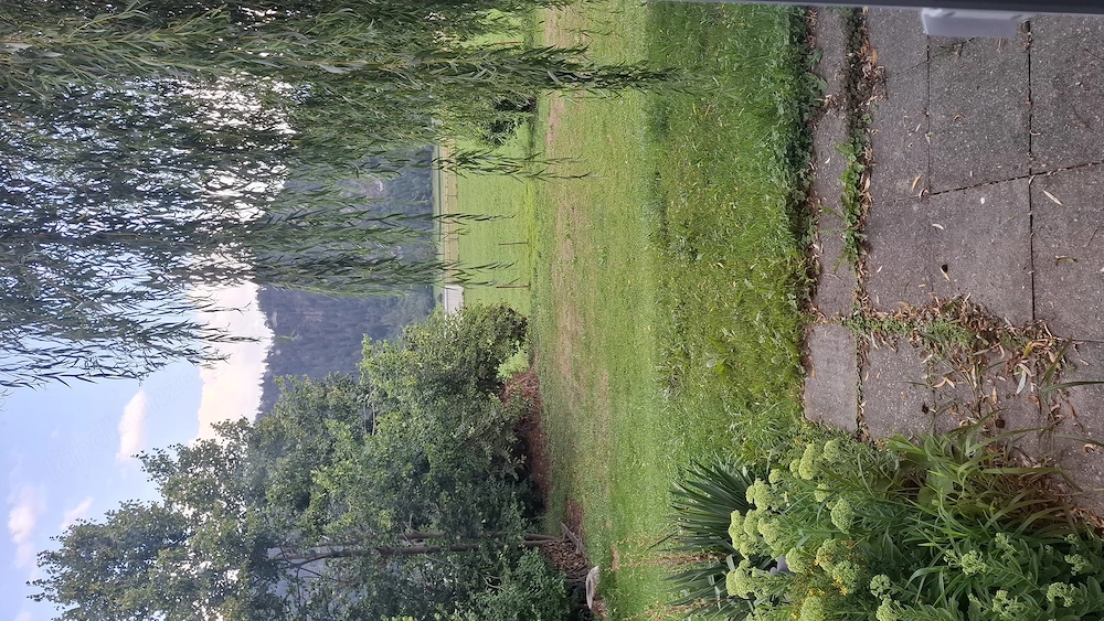 Anrainerwohnung mit Gartenanteil