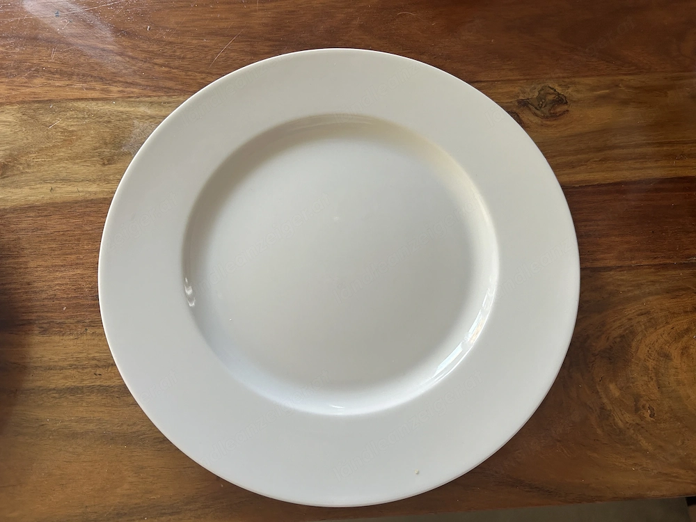 Teller 9 Stück 27,5 cm
