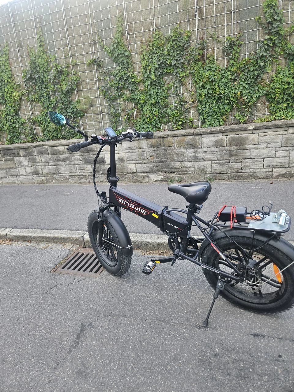 Pedelec E-Rad + E-Moped umständehalber günstig