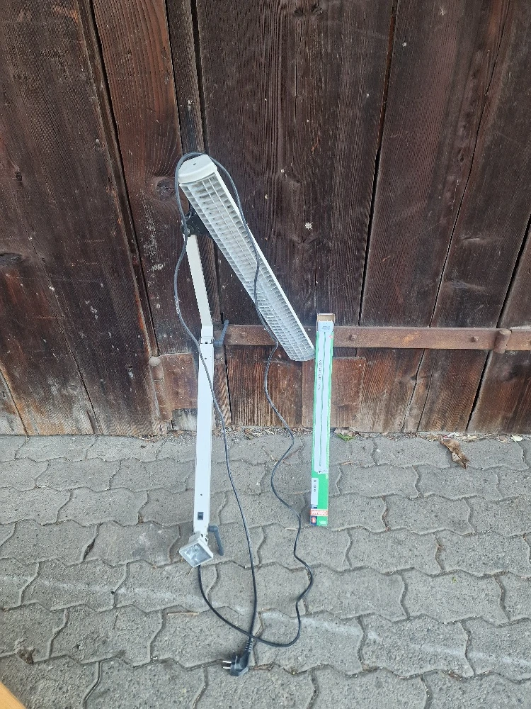 waldmann Lampe