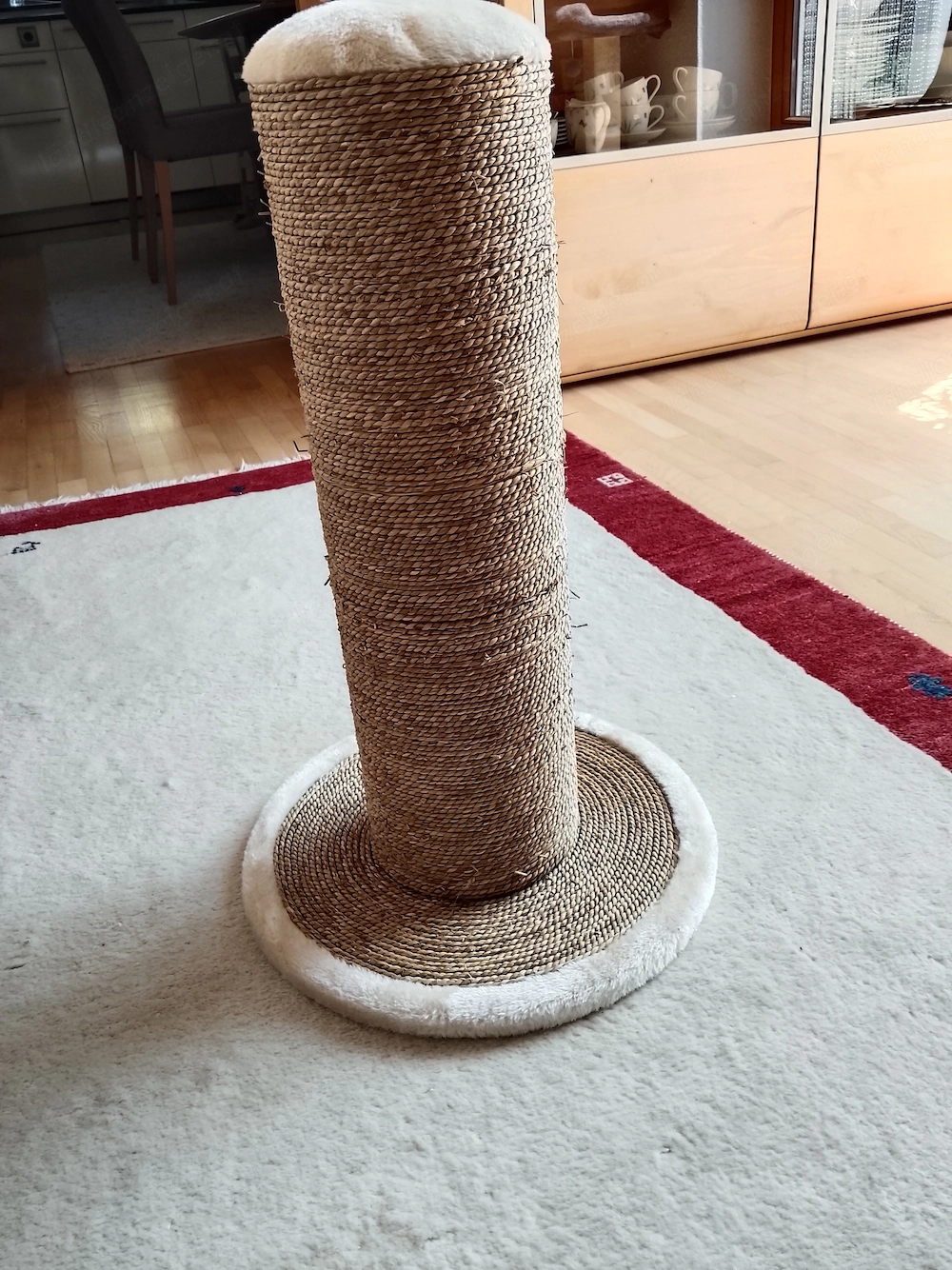 Katzenkratzstamm