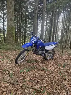 Yamaha TT-R 125
