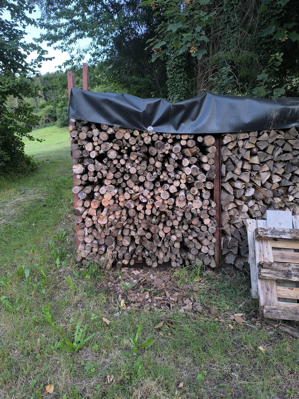 Brennholz, Hartholz
