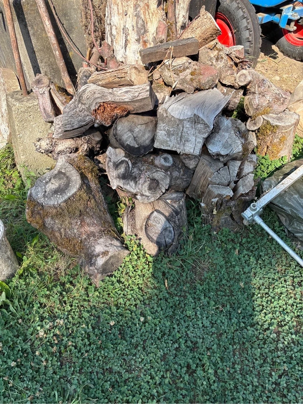 Brennholz Altholz