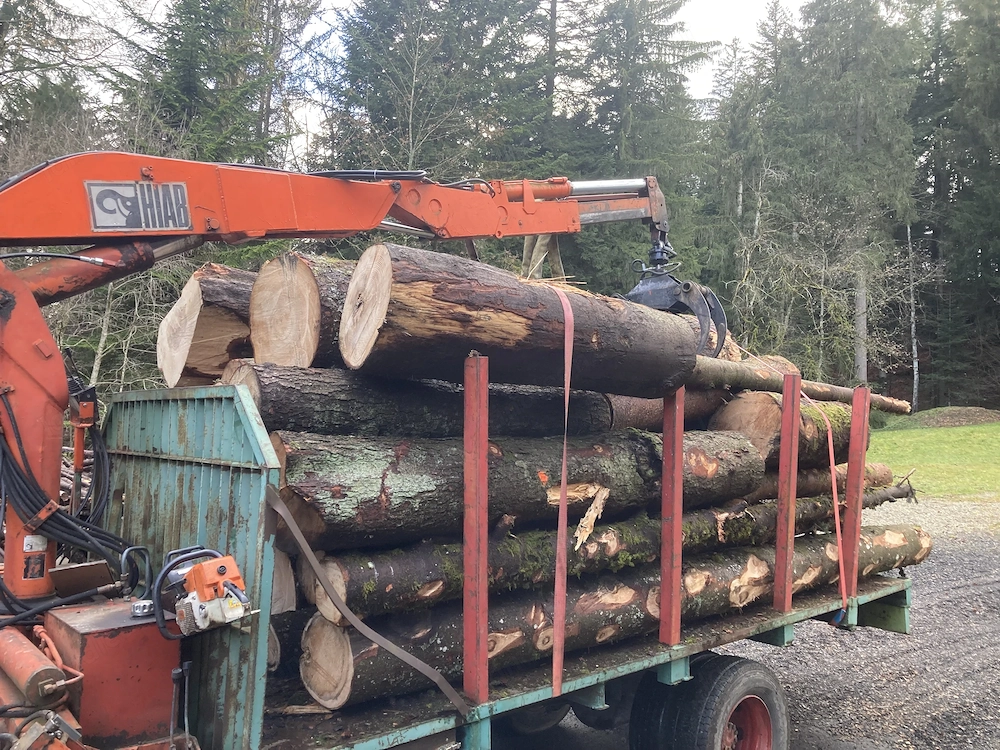 Rückewagen, Kranwagen, Hiab, Blockwagen, Holzwagen