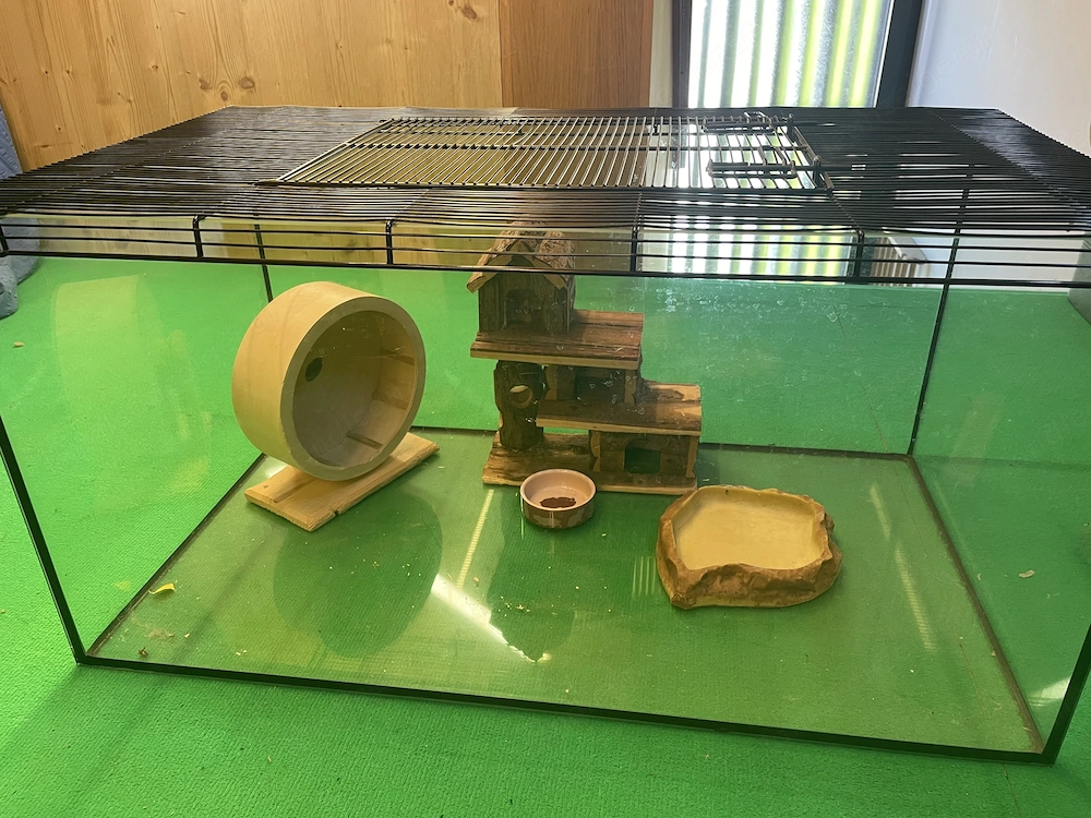 Terrarium mit Zubehör