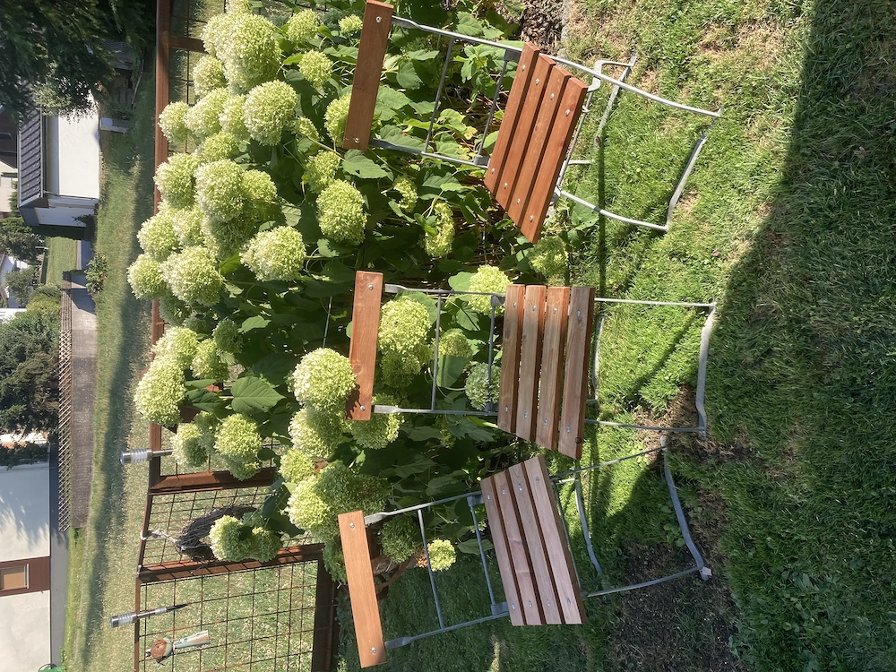 Gastgartenstühle