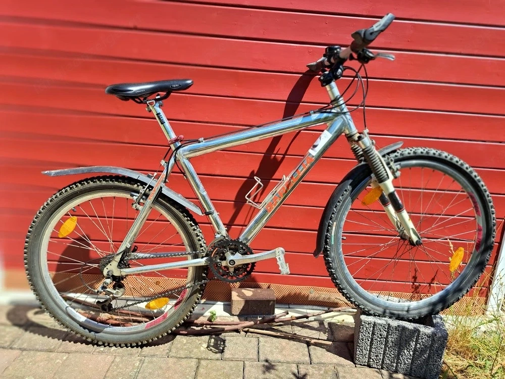 Damen Mountainbike