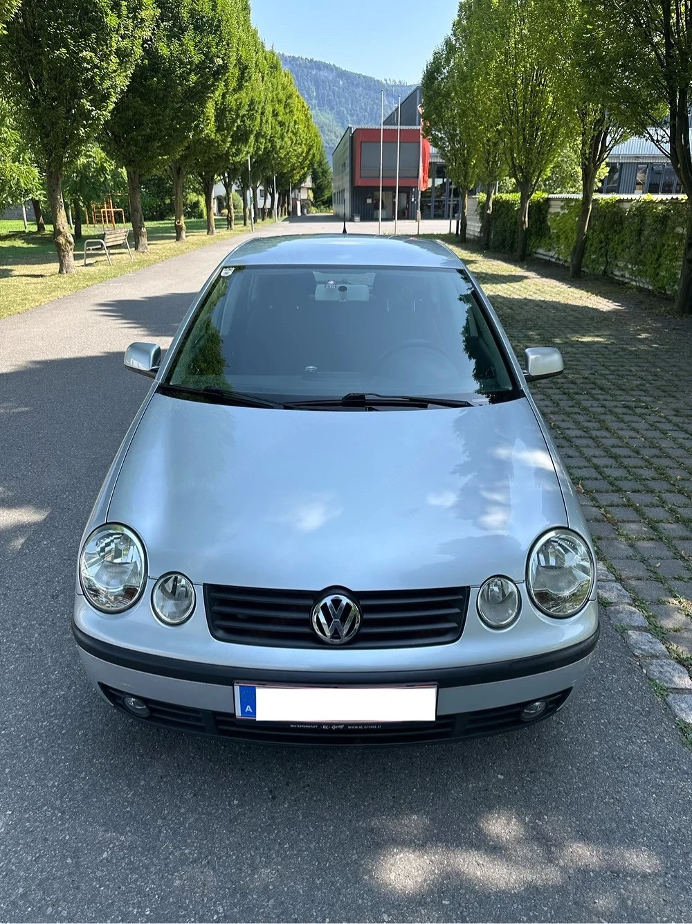 VW Polo 9n