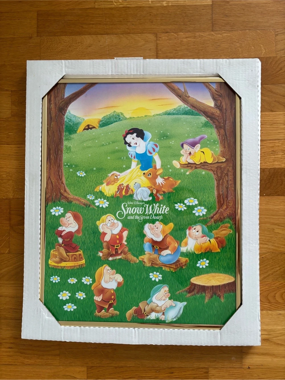 Disney Schneewittchen Bild  Wandbild mit Rahmen