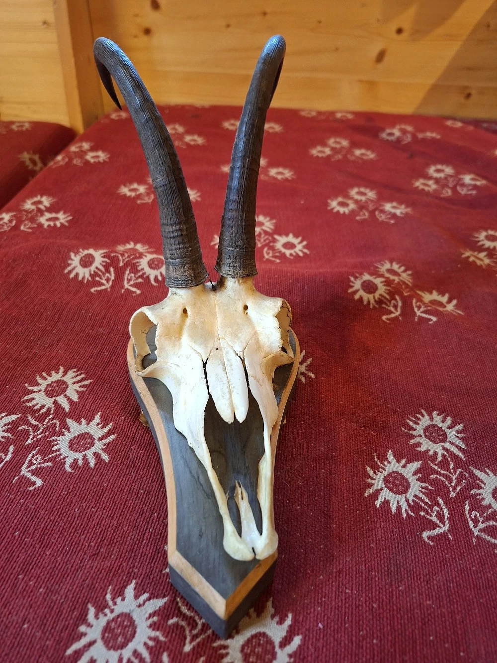 Jagdtrophäen zu verkaufen