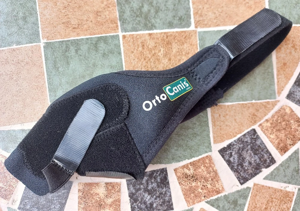 Orto Canis Kniebandage 