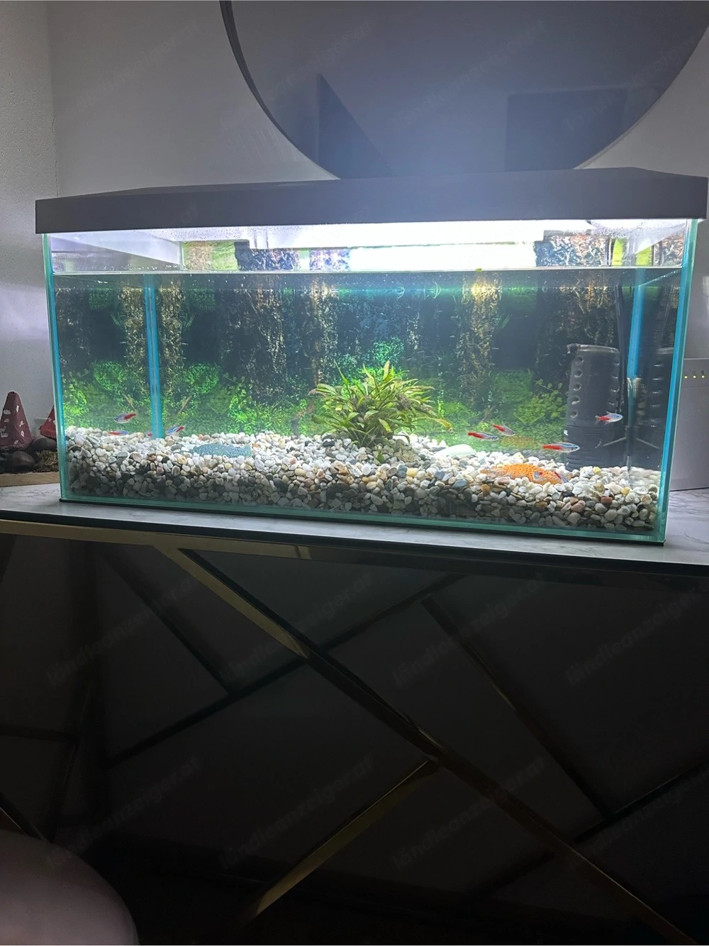 Aquarium 60L