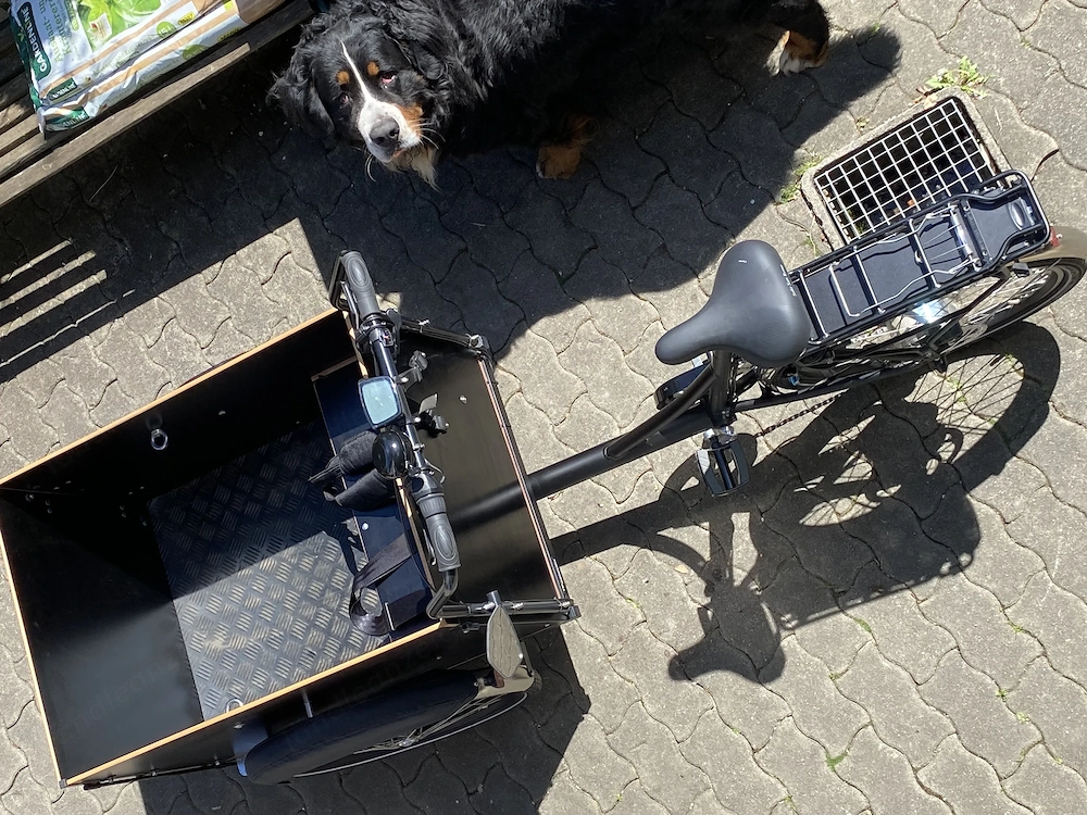 Lastenrad Christiania medium straight