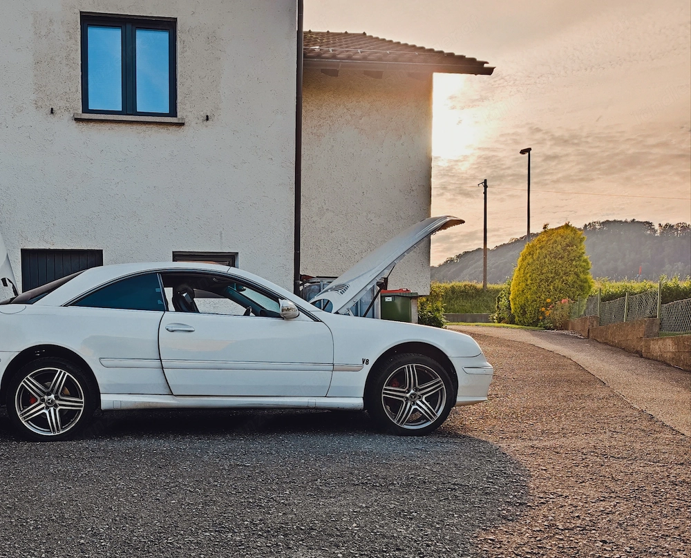 Tausche Mercedes CL 500 gegen Transporter (T5 udgl.)